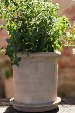 ERNST Garden Details & Accessories*terracotta pot with saucer, Ø20x20 cm Brown