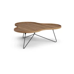 Swedese Coffee Tables*Flower mono table Special Edition 107x114 cm, H39 cm-lacquered walnut-black lacquered steel Brown
