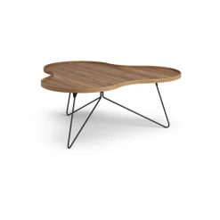 Swedese Coffee Tables*Flower mono table Special Edition 107x114 cm, H45 cm-lacquered walnut-black lacquered steel Brown