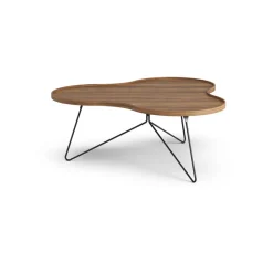 Swedese Coffee Tables*Flower mono table Special Edition 107x114 cm, H45 cm-lacquered walnut-black lacquered steel Brown
