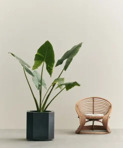 Louise Roe Garden Details & Accessories*Funki pot L 52 cm, Raw Iron Black