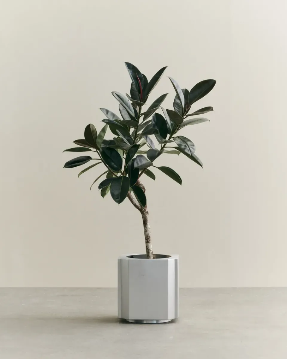 Louise Roe Garden Details & Accessories*Funki pot M 40 cm, Brushed Aluminium Silver-coloured