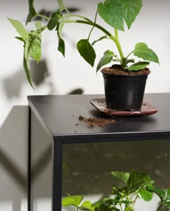 Brafab Display & Glass Cabinets*Grower Greens plant cabinet, , 81x82 cm Black