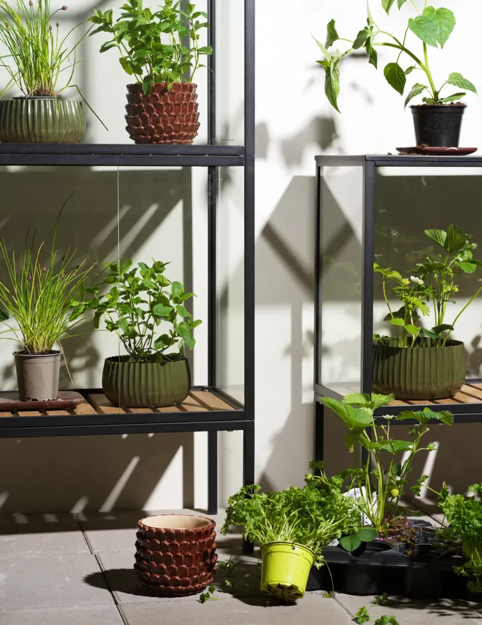 Brafab Display & Glass Cabinets*Grower Greens plant cabinet, , 81x137 cm Black