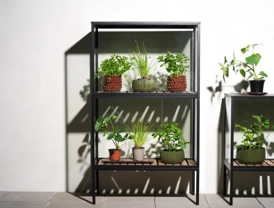 Brafab Display & Glass Cabinets*Grower Greens plant cabinet, , 81x137 cm Black