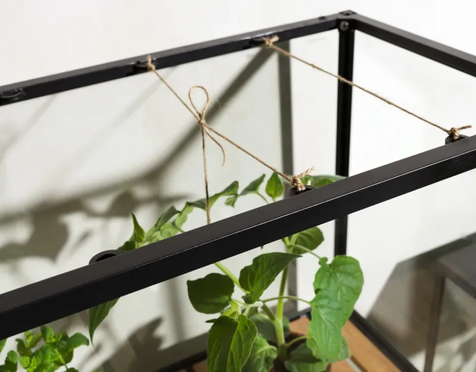 Brafab Display & Glass Cabinets*Grower Greens plant cabinet, , 81x137 cm Black