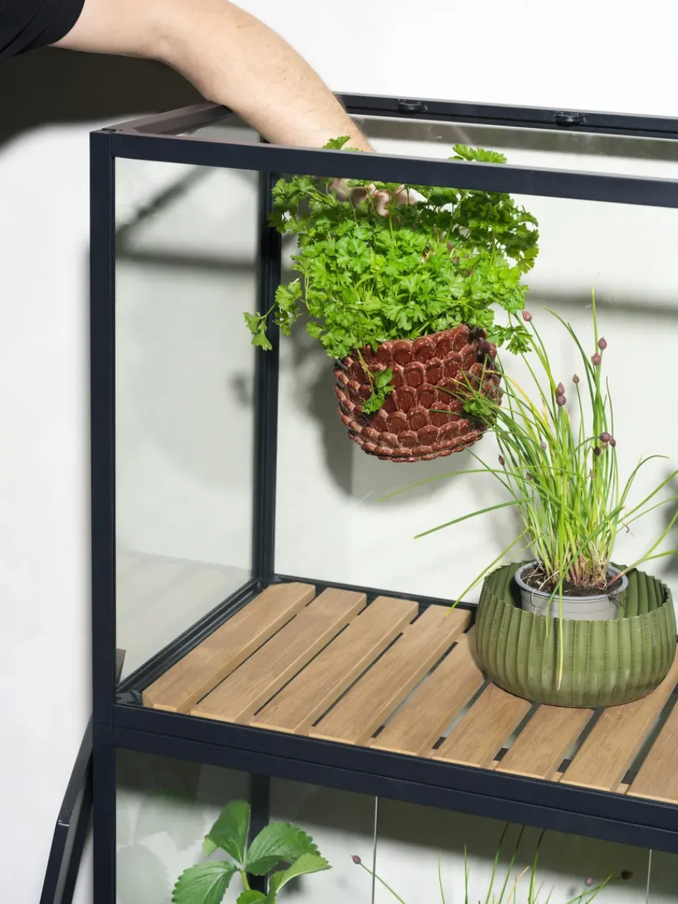 Brafab Display & Glass Cabinets*Grower Greens plant cabinet, , 81x137 cm Black