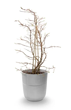KORBO Garden Details & Accessories*Linea pot no 1 high, Aluminium Silver-coloured
