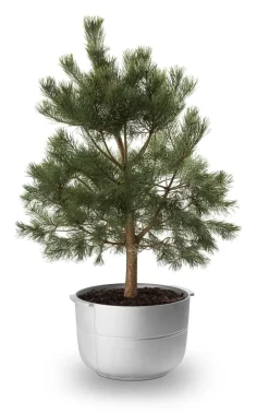 KORBO Garden Details & Accessories*Linea Pot No. 2 Medium, Aluminium Silver-coloured