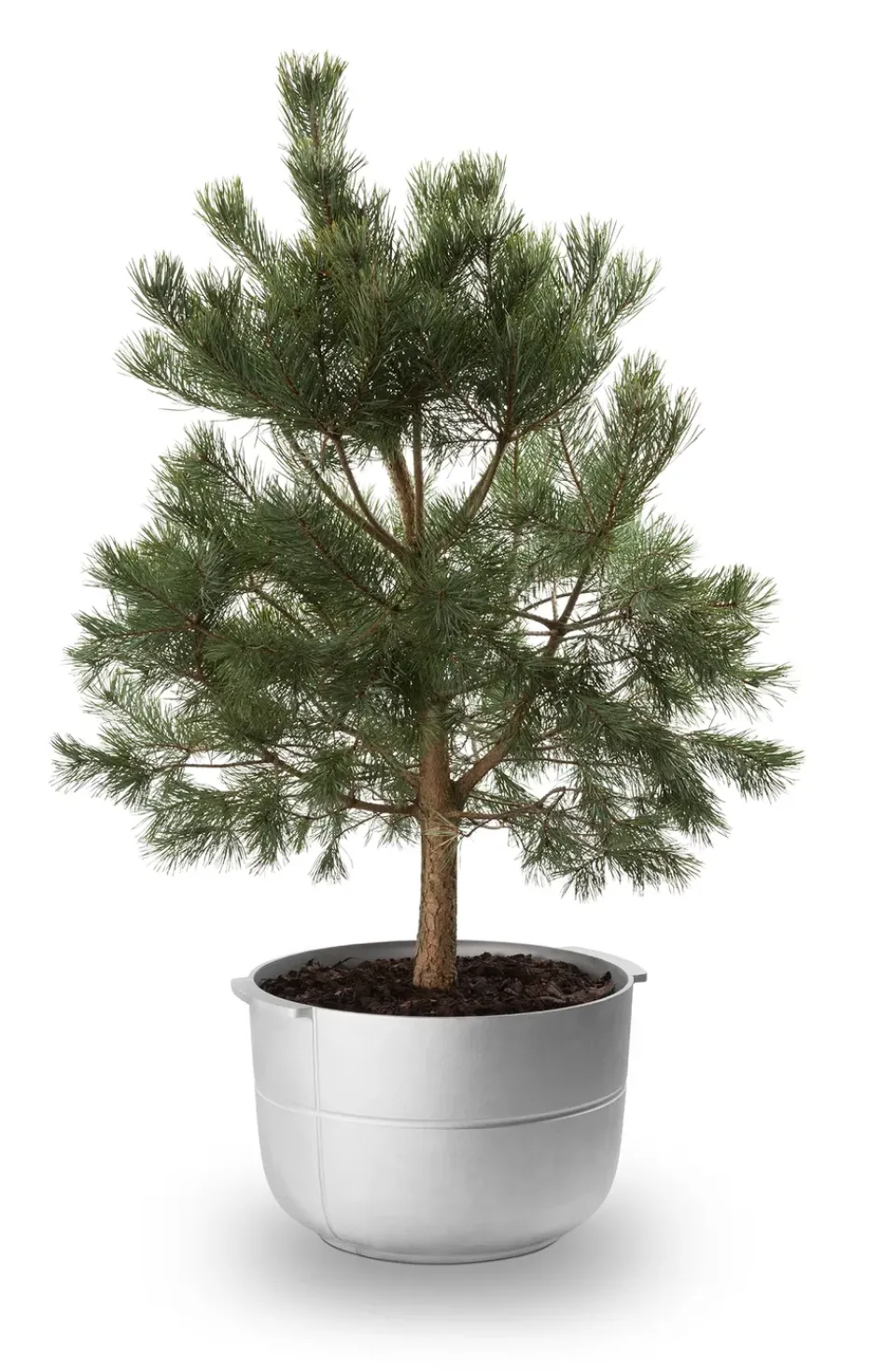 KORBO Garden Details & Accessories*Linea Pot No. 2 Medium, Aluminium Silver-coloured