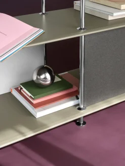 Montana Shelves & Shelving Systems*Free 555000 shelf, 144 Fennel structured-chrome GreenSilver-coloured