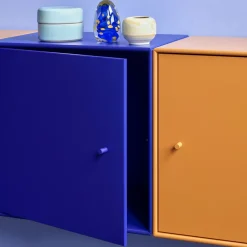 Montana Shelves & Shelving Systems*Mini 1103 shelf module, Camomile 159. with door Yellow