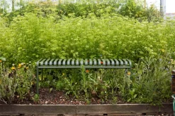 HAY Garden Sofas & Garden Benches*Palissade bench 120x42 cm, Olive Green