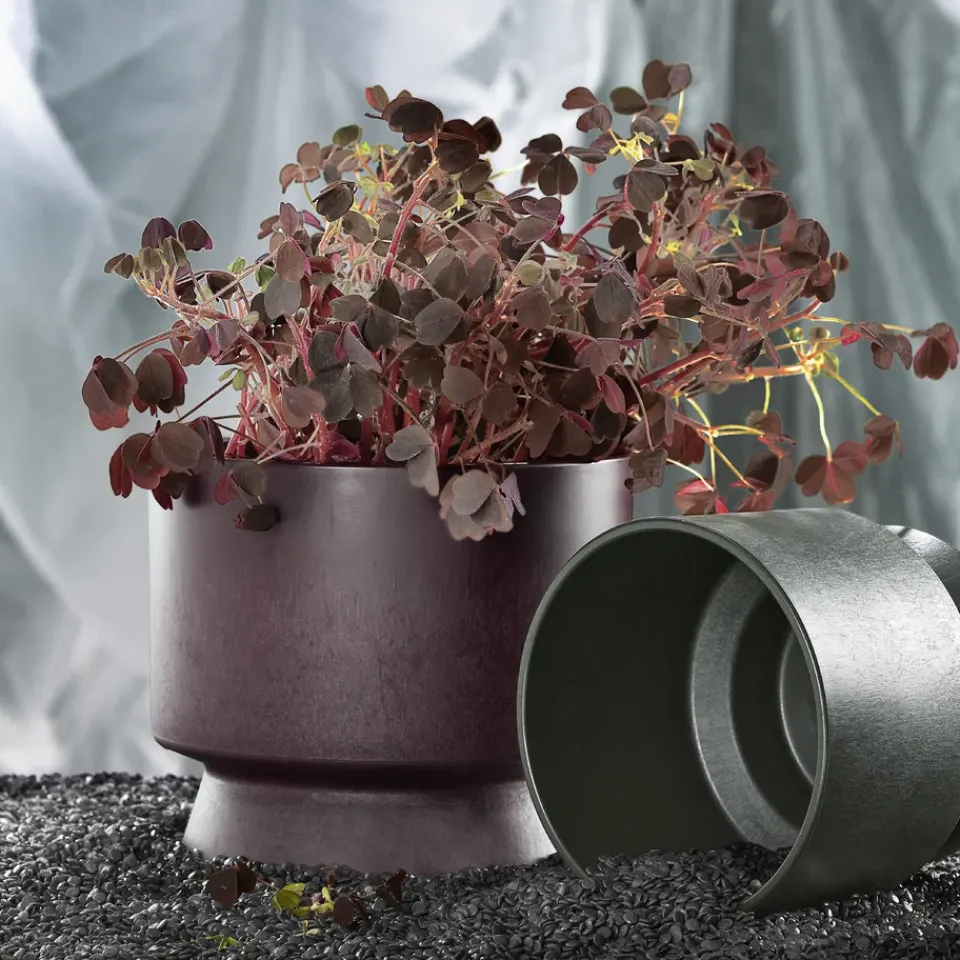 Rosendahl Garden Details & Accessories*Ro flower pot Ø19 cm, Bordeaux Red