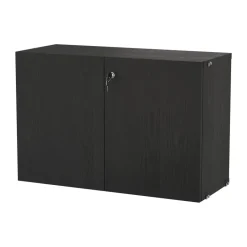 String String Shelves*cabinet with lock, stained ash Black