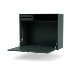 Montana Desks*STUDIO desk, wall hung, Black jade 163 Green