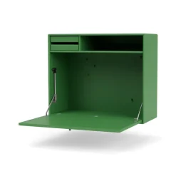 Montana Desks*STUDIO desk, wall hung, Parsley 152 Green