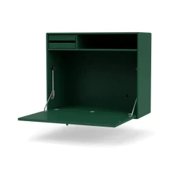 Montana Desks*STUDIO desk, wall hung, Pine 136 Green