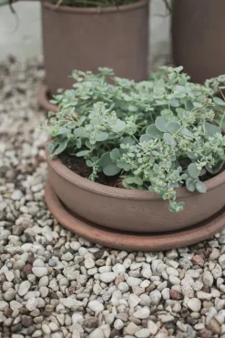 DBKD Garden Details & Accessories*Terra bowl planter, , Ø30x10.5 cm Brown