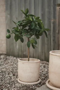 DBKD Garden Details & Accessories*Terra pot, Sand, Ø23x26 cm Beige