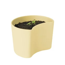RIG-TIG Garden Details & Accessories*YOUR TREE pot with seeds, (Beech) Yellow