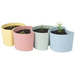 RIG-TIG Garden Details & Accessories*YOUR TREE pot with seeds, (Beech) Yellow