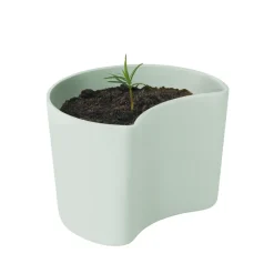 RIG-TIG Garden Details & Accessories*YOUR TREE pot with seeds, (Pine) Green