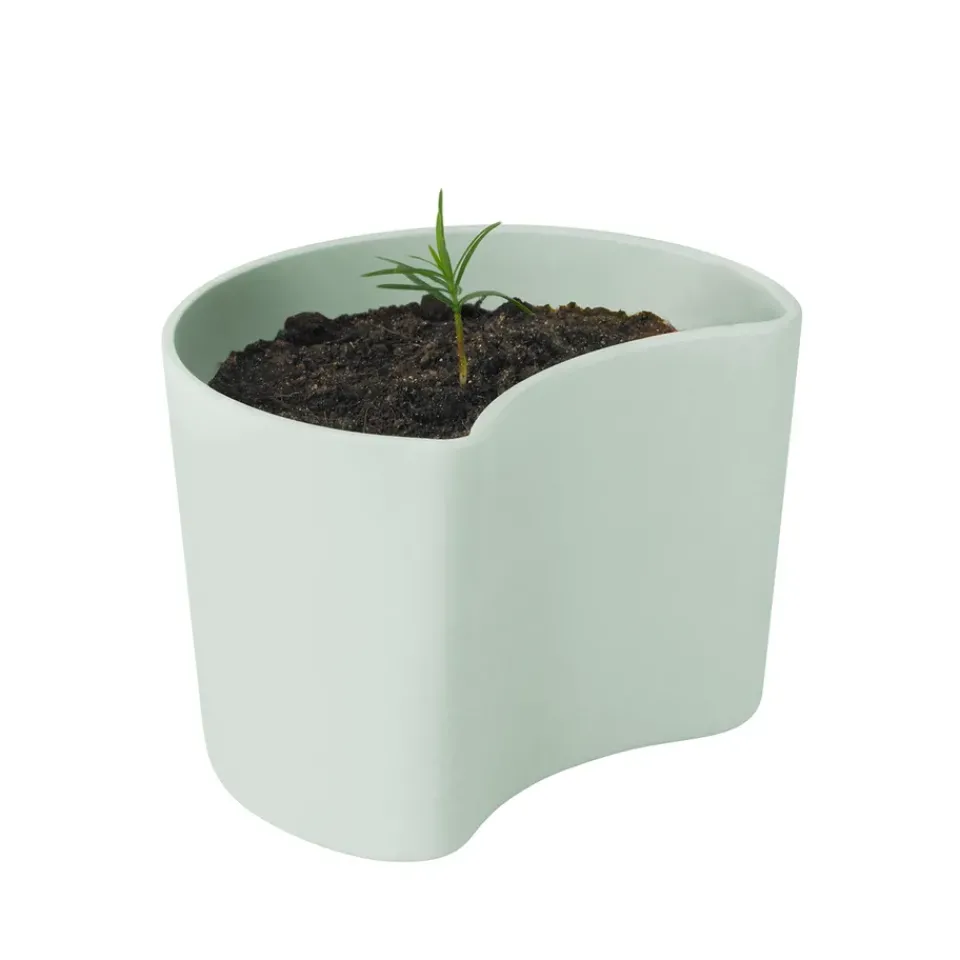 RIG-TIG Garden Details & Accessories*YOUR TREE pot with seeds, (Pine) Green