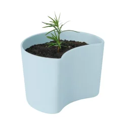 RIG-TIG Garden Details & Accessories*YOUR TREE pot with seeds, (Pine) Blue